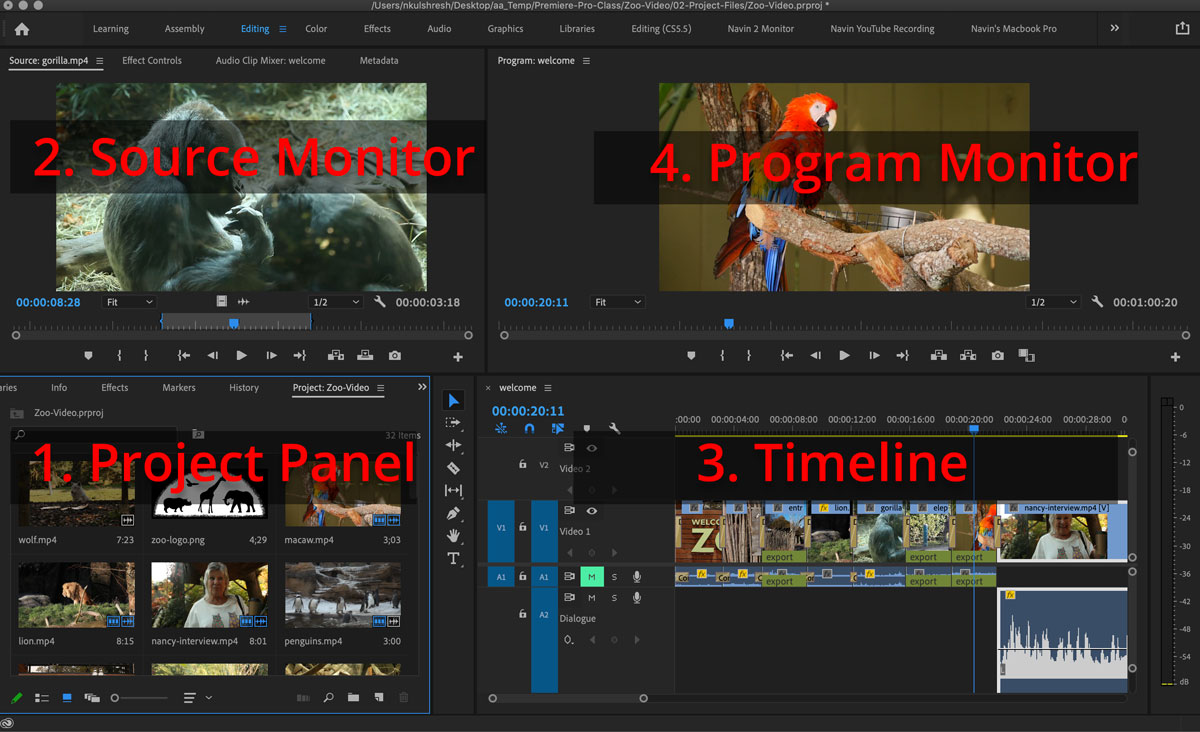 Premiere Pro Panel Names